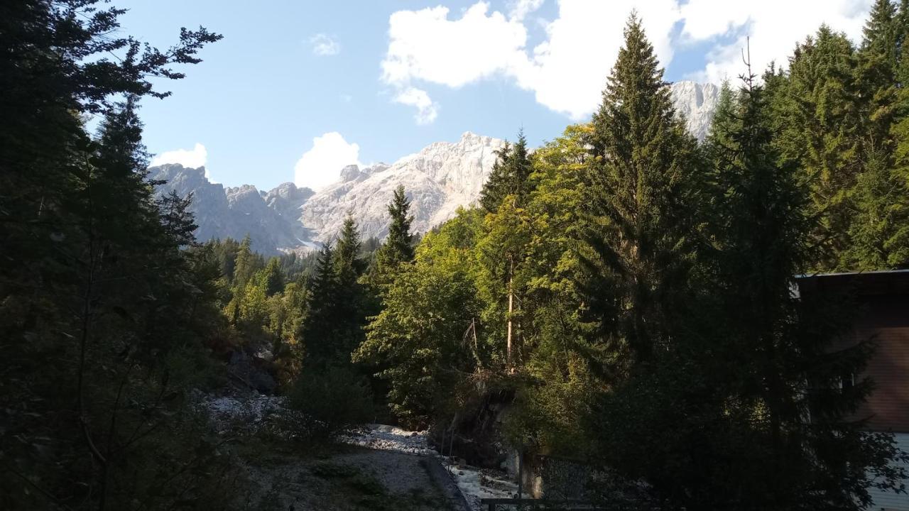Appartmenthaus Hochkoenig Mühlbach am Hochkönig Esterno foto