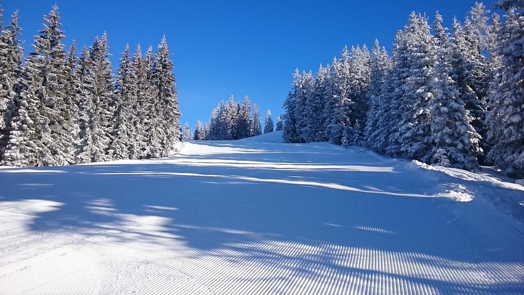Appartmenthaus Hochkoenig Mühlbach am Hochkönig Esterno foto