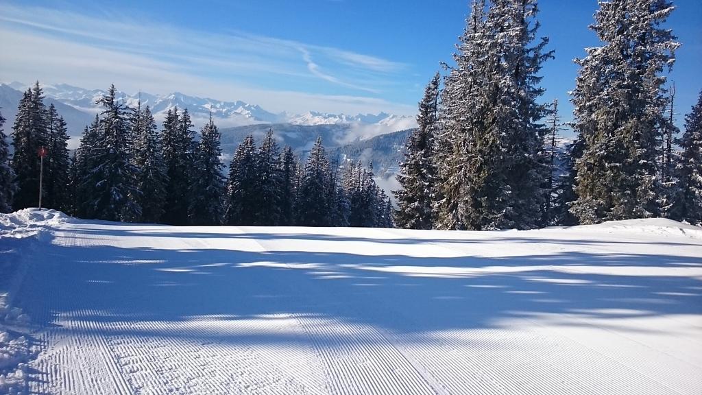 Appartmenthaus Hochkoenig Mühlbach am Hochkönig Esterno foto