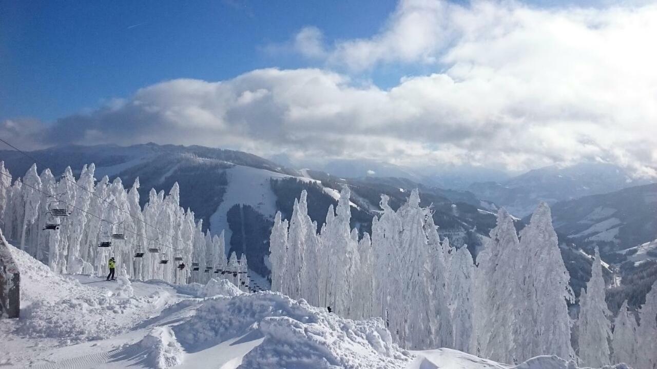 Appartmenthaus Hochkoenig Mühlbach am Hochkönig Esterno foto